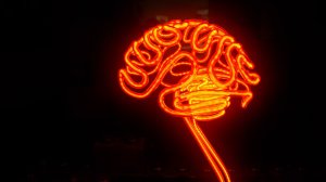 neon-brain